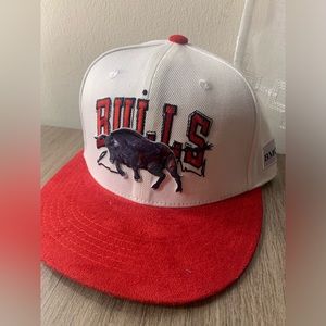 Chicago Bulls Hat BMO Local Artist Series